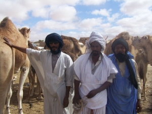 زملاء  محفوظ ولد  محمد الأمين يرون أن مثل هذه الرحالات تعد مغامرة  قد لا تحمد عقباها، معللين ذلك بطول المسافة وتصحر الأرض  من أي كائن حي ومحدودية نقاط المياه 