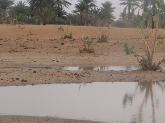 مناطق متعددة على جنبات الطريق "أمسكت الماء" فنفع الناس، ودفع بمعنويات المنمين إلى أعلى "قرية أكجرت"(الأخبار)