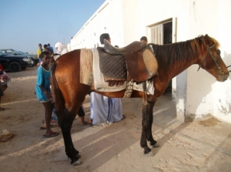 قدم هذا المشجع برفقة فرسه التى شكلت مشهدا مثيرا للأطفال (تصوير الأخبار)